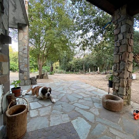 Agriturismo Pranu Sorgono Екстериор снимка