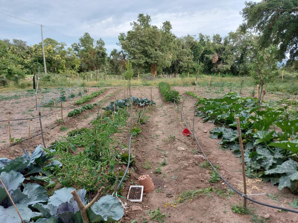 Agriturismo Pranu Sorgono Екстериор снимка