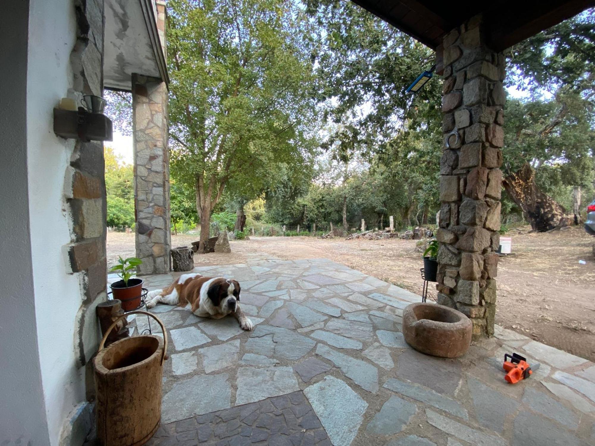 Agriturismo Pranu Sorgono Екстериор снимка