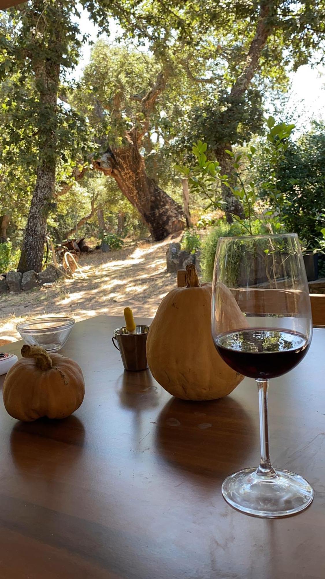 Agriturismo Pranu Sorgono Екстериор снимка