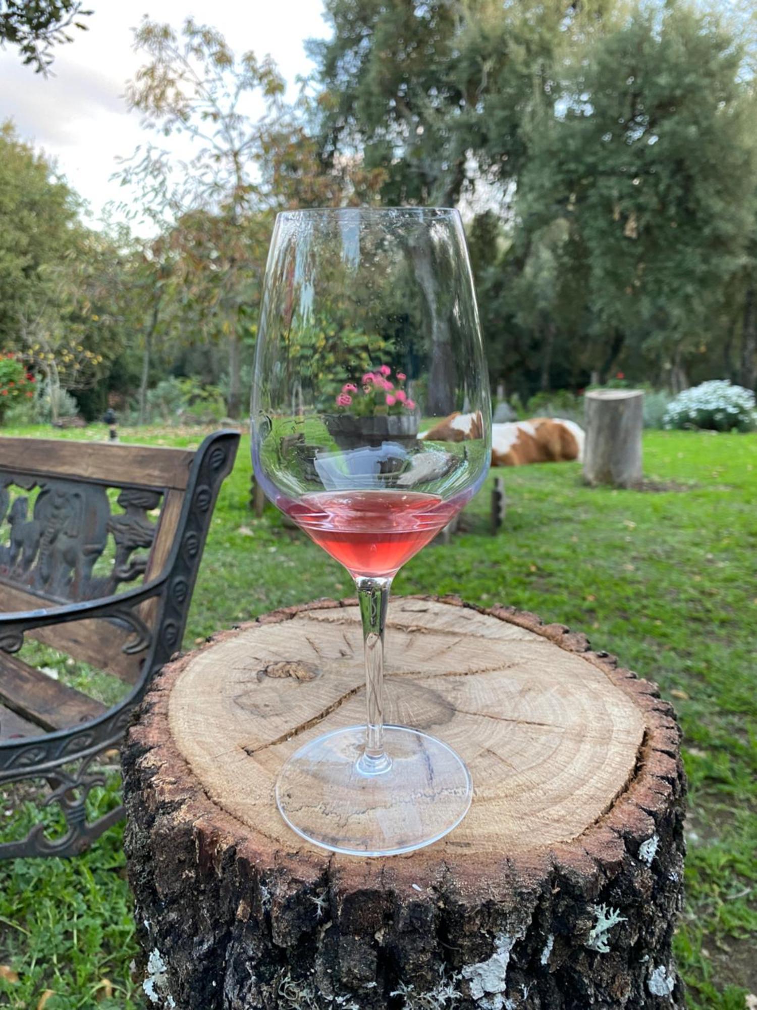 Agriturismo Pranu Sorgono Екстериор снимка