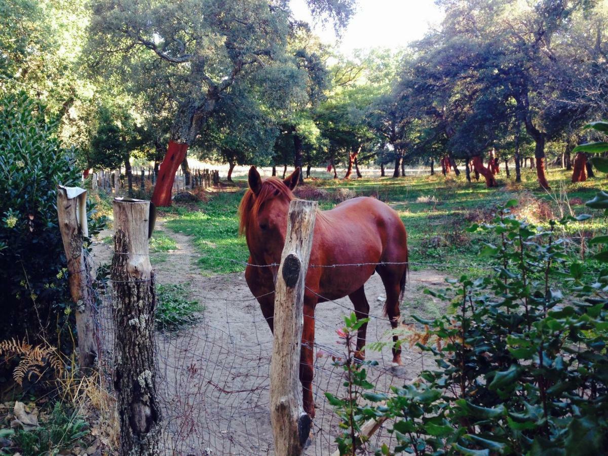 Agriturismo Pranu Sorgono Екстериор снимка