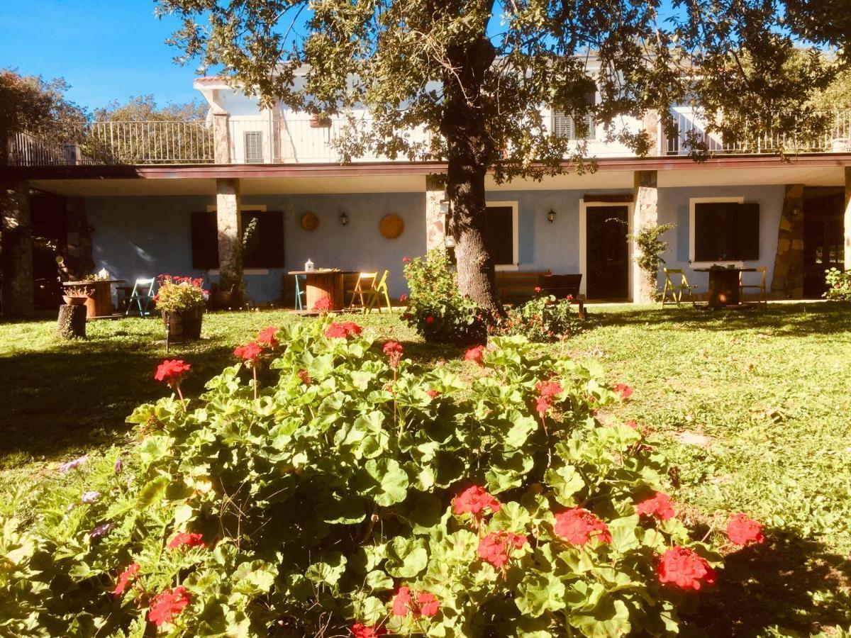 Agriturismo Pranu Sorgono Екстериор снимка