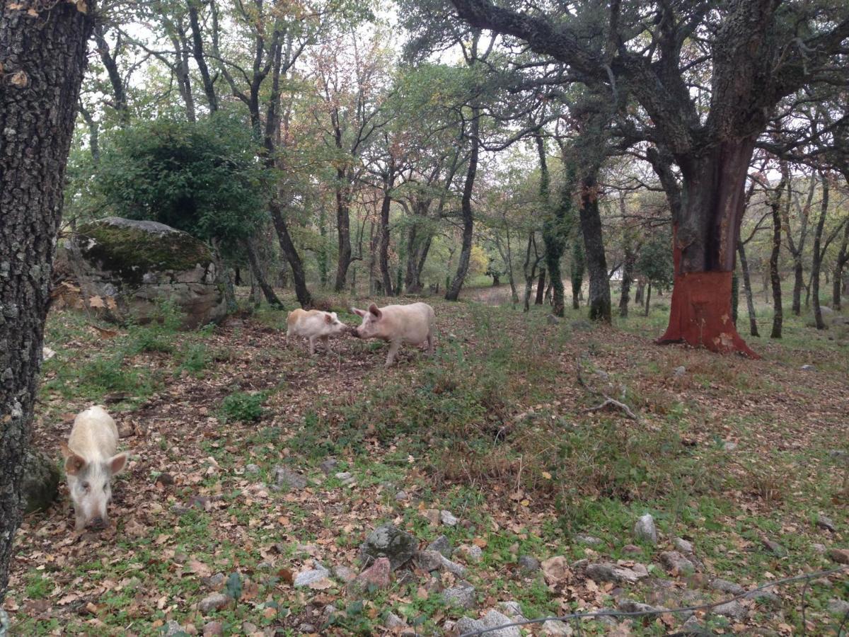 Agriturismo Pranu Sorgono Екстериор снимка